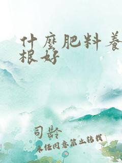 什么肥料养根生根好