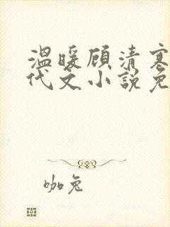 温暖顾清寒的年代文小说免费阅读