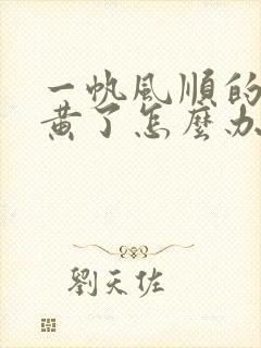 一帆风顺的叶子黄了怎么办
