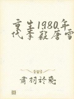 重生1980年代李毅唐雪