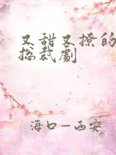 又甜又撩的霸道总裁剧