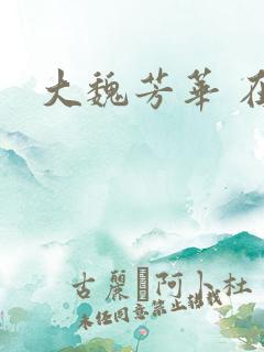 大魏芳华 在线