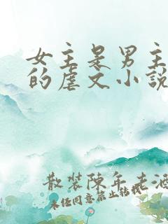 女主是男主保镖的虐文小说
