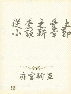 逆袭之爱上情敌小说新章节列表