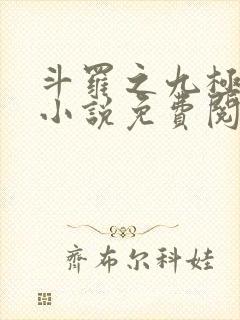 斗罗之九极斗罗小说免费阅读