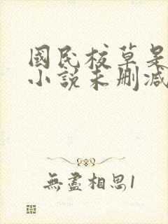 国民校草是女生小说未删减版