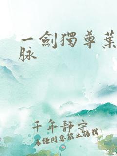 一剑独尊叶玄血脉