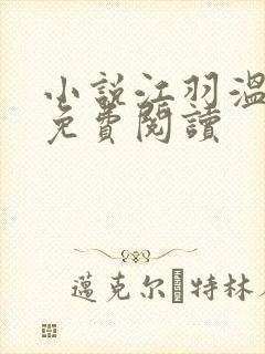 小说江羽温亦欢免费阅读