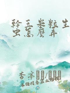 干玉米粒生小黑虫怎么弄