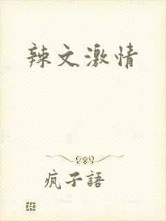 辣文激情