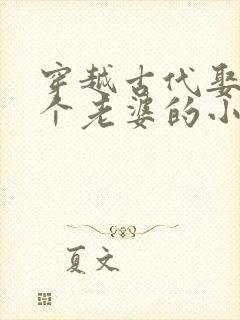 穿越古代娶了八个老婆的小说推荐
