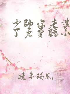 少帅你老婆又跑了免费听小说
