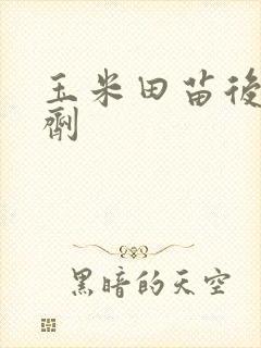 玉米田苗后除草剂