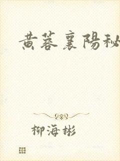 黄蓉襄阳秘密