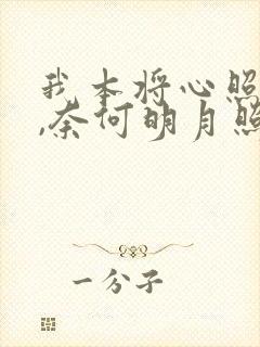 我本将心照明月,奈何明月照沟渠的意思是