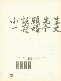 小说顾先生的第一宠婚全文阅读