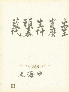 蓝头生肖出红蓝代表什么生肖