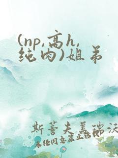(np,高h,纯肉)姐弟
