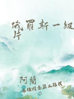 俄罗斯一级伦理片