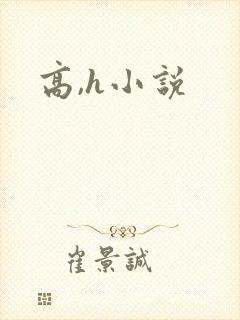 高,h小说