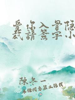 爱你入骨隐婚总裁请签字小说