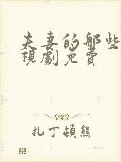 夫妻的那些事电视剧免费