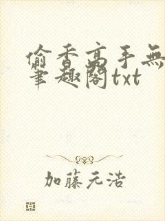 偷香高手无删减笔趣阁txt