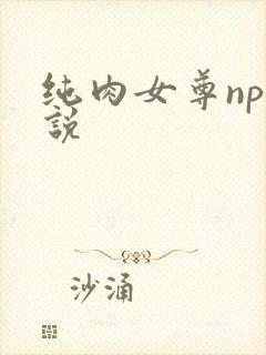 纯肉女尊np小说