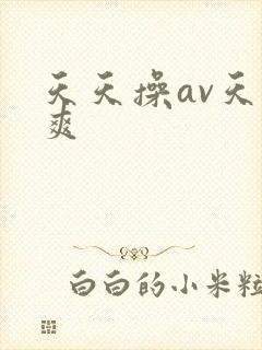 天天操av天天爽
