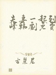 夫妻一起到达巅峰韩剧免费观看