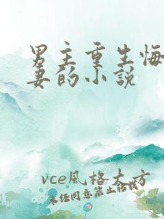 男主重生悔恨追妻的小说