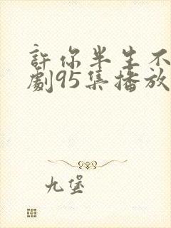 许你半生不见短剧95集播放