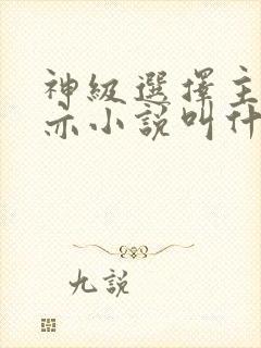神级选择主角林亦小说叫什么