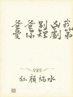 爸爸别凶我我也爱你短剧第11集