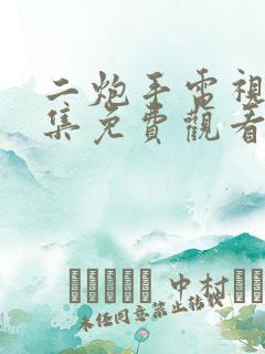 二炮手电视剧全集免费观看高清