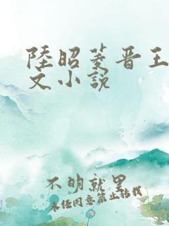 陆昭菱晋王的全文小说