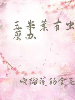 玉米叶有虫子怎么办