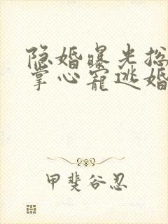 隐婚曝光总裁的掌心宠逃婚了小说