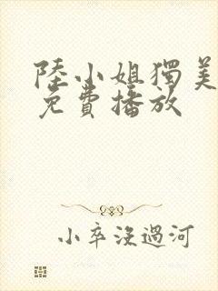 陆小姐独美短剧免费播放