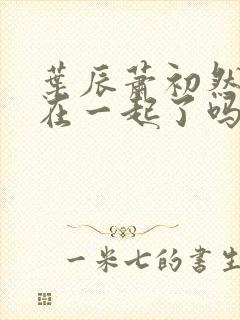 叶辰萧初然最后在一起了吗