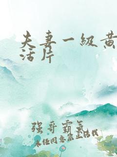 夫妻一级黄色生活片