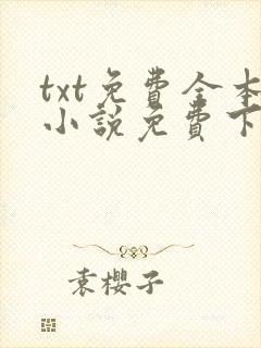 txt免费全本小说免费下载网