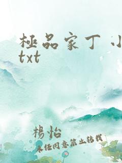极品家丁 小说txt