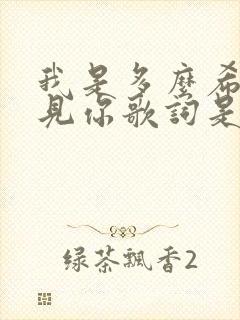 我是多么希望遇见你歌词是哪首歌
