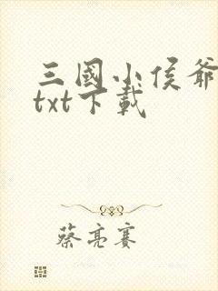 三国小侯爷小说txt下载