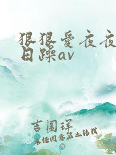 狠狠爱夜夜爽日日躁av