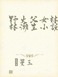 野火父女林晚晚林潮生小说