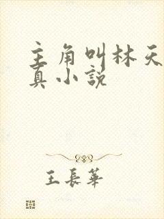 主角叫林天的修真小说