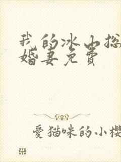 我的冰山总裁未婚妻免费