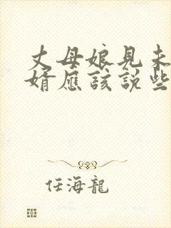 丈母娘见未来女婿应该说些什么